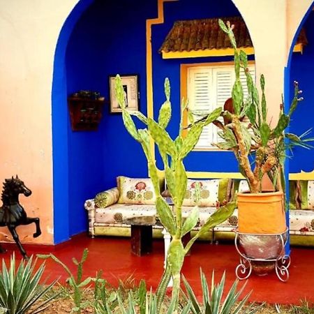Riad Jasmine Sud ザゴラ エクステリア 写真