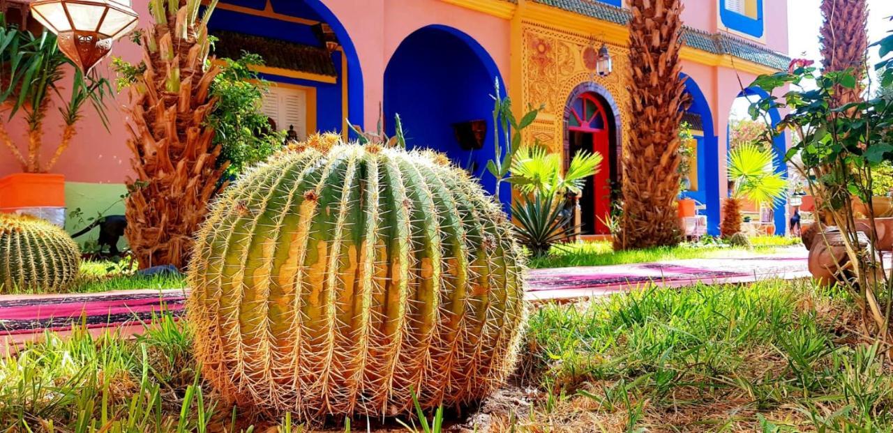 Riad Jasmine Sud ザゴラ エクステリア 写真